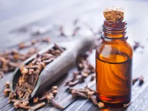 where to find clove oil in grocery store