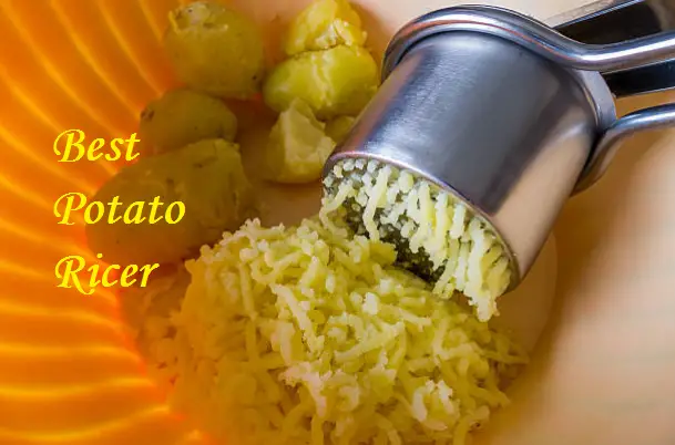 Best Potato Ricer America's Test Kitchen