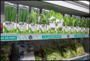 Where To Find Chives In Grocery Store