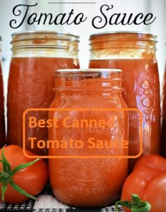 best canned tomato sauce