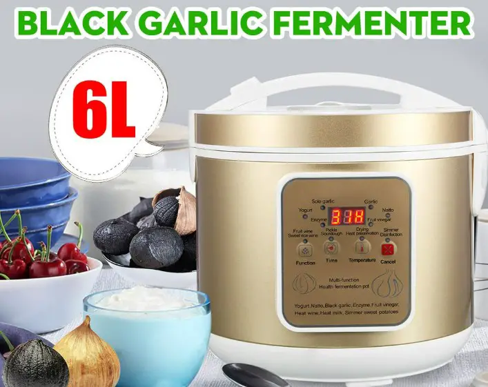 Best Black Garlic Fermenter