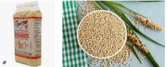 Sorghum In Grocery Store