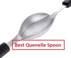 BEST Quenelle-Spoon1