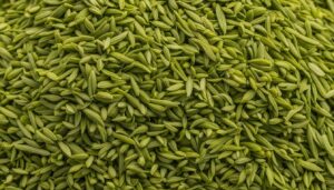 ground fennel substitute